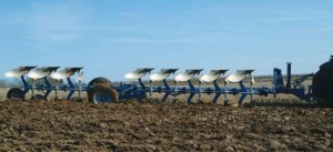 DXL 81080